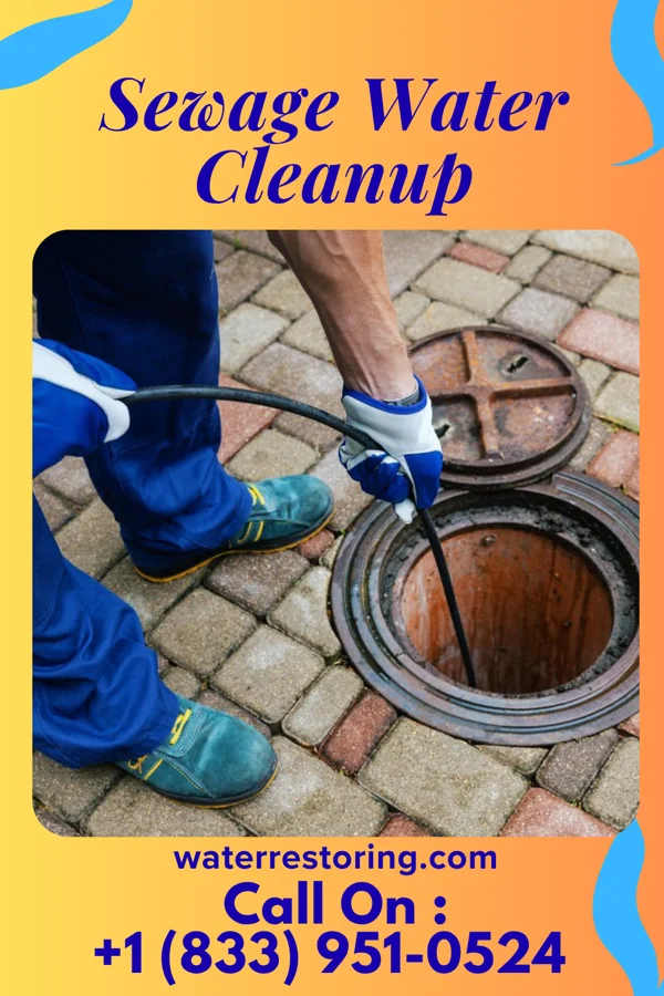 Sewage Water Cleanup in Dugger, IN